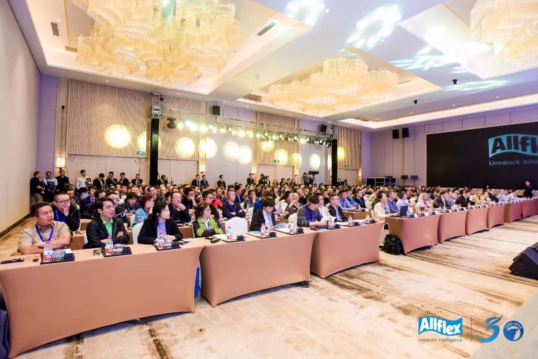 大数据万万没想到,万万没想到深度解析