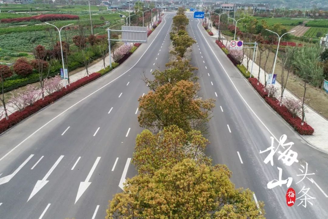 最美梅山,美丽南安梅山