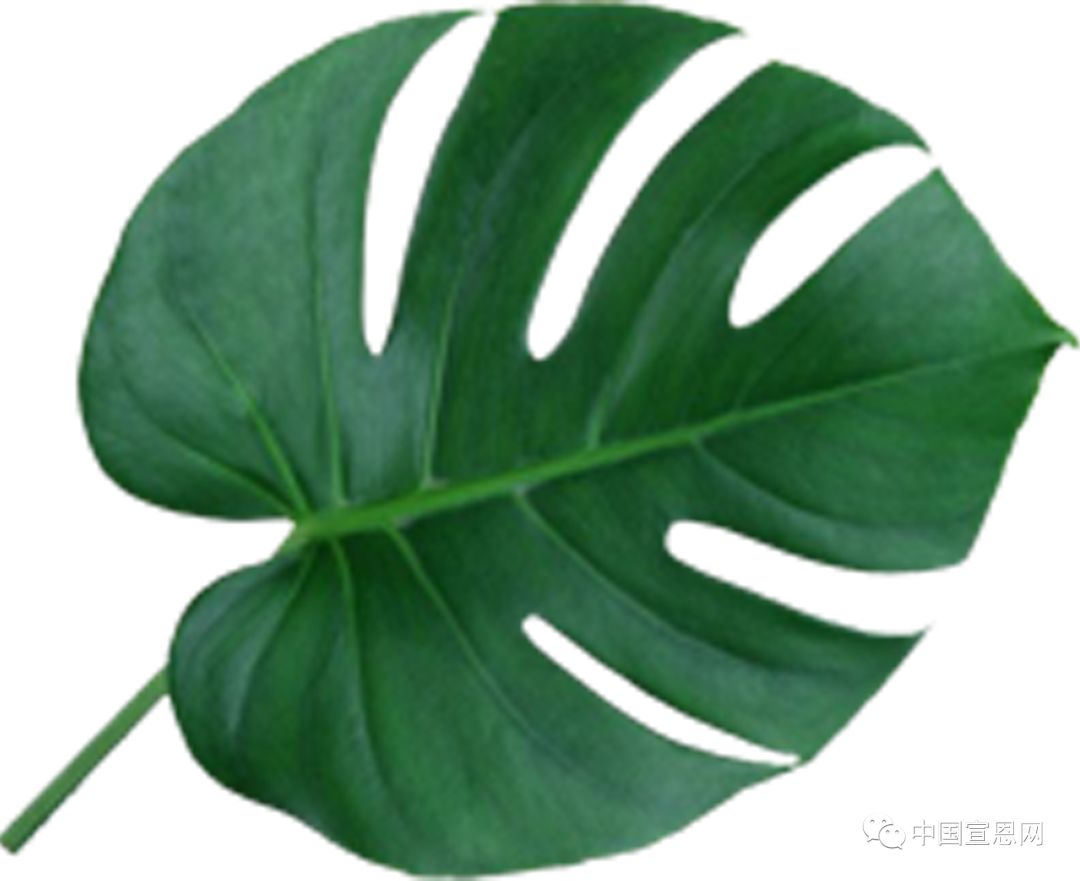 世界500强争抢的地方,世界500强入驻哪个省最多