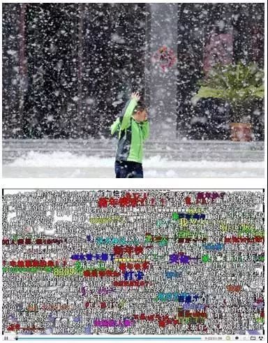 为了替你出气，我们给讨厌的杨柳絮来个“以暴制暴”