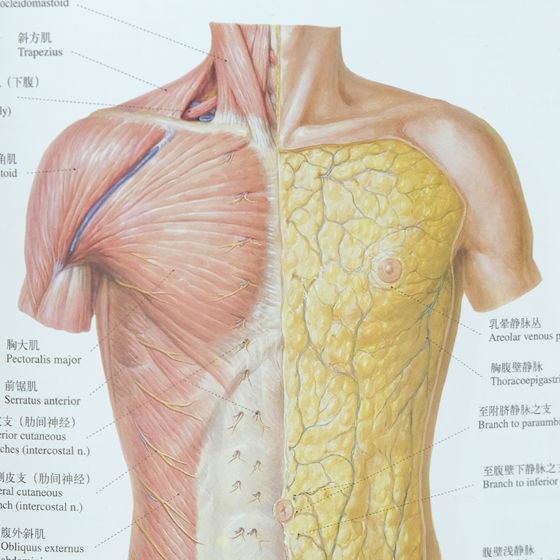 这样和女朋友睡觉,更持久