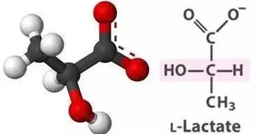 灏忚寕鑲岃瘖瀹よˉ姘村悧,灏忚寕鑲岃瘖瀹ゅ埌搴曟湁澶氬己