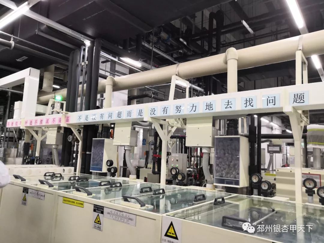 追梦长三角第二站丨“问道”无锡，邳州对标谋发展！