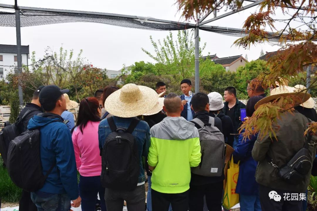 庭院自动喷灌效果图,地埋式喷灌庭院