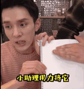 网红气垫推荐,网红气垫cc霜