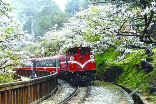 五月有哪些美食,温州美食一日游攻略