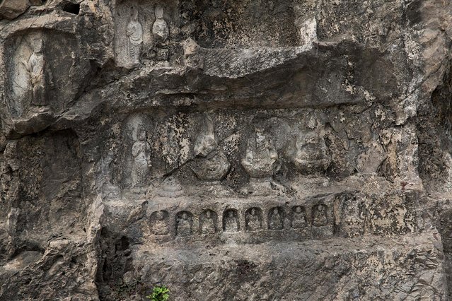 璞鍙ら兘涔嬬編,璞娌冲崡鍙戠幇涓嶄竴鏍风殑涓師涔嬬編