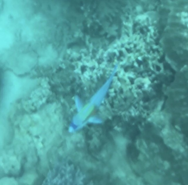 越南越美自由行攻略,越南越美旅游推荐