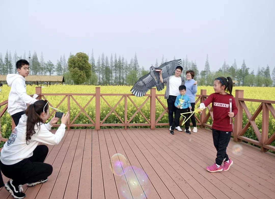 视觉张家港丨一周精选（66）