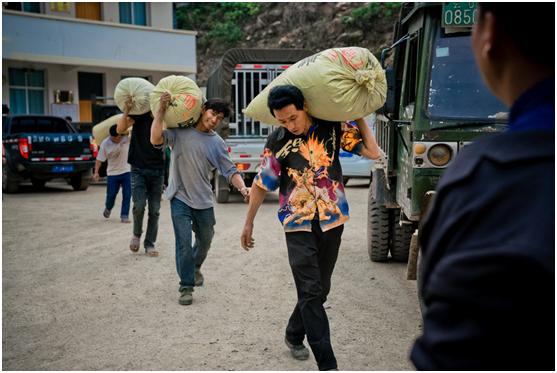 拼多多助力农业脱贫视频,拼多多扶贫行动