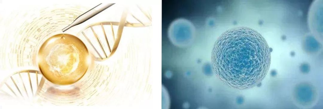 那些年你美白踩过的雷，我们都踩过！