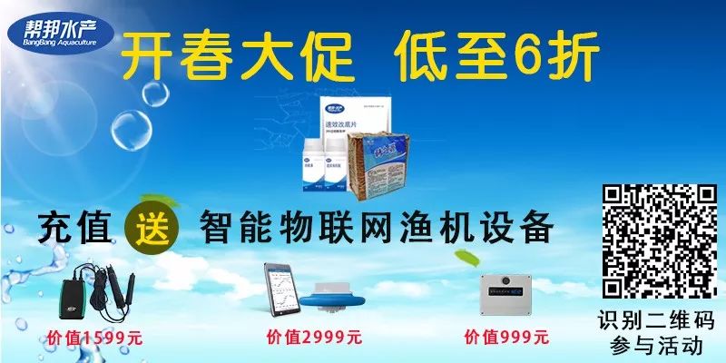 空池塘用什么除青苔最彻底,除青苔藻类最好方法