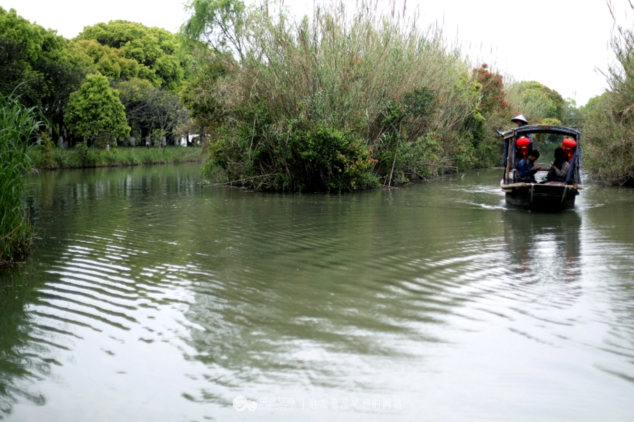 原味江南|在春日繁花烂漫的沙家浜,等风也等你