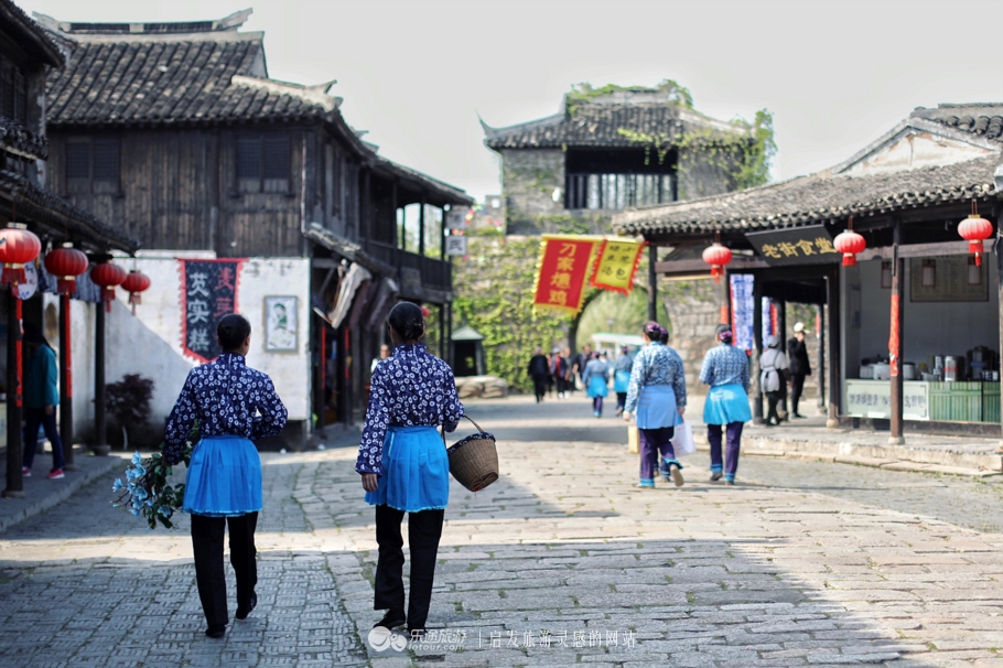 原味江南|在春日繁花烂漫的沙家浜,等风也等你