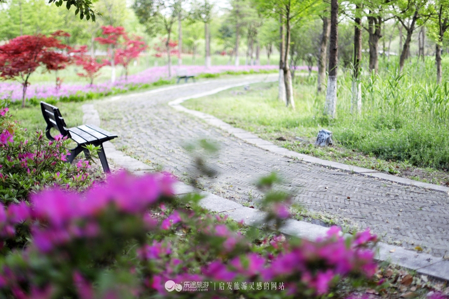 原味江南|在春日繁花烂漫的沙家浜,等风也等你