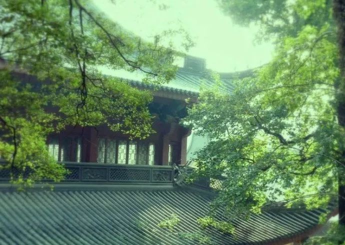 人心不足蛇吞象典故是真的吗,人心不足蛇吞象王莽的动画故事