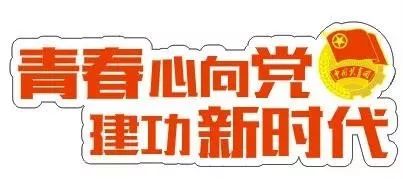 纪念五四百年主题团日活动记录,纪念五四运动100周年主题团日简报