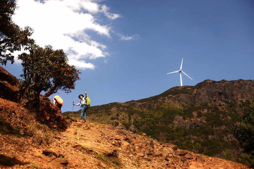 牛棚梁子全部视频,牛棚梁子