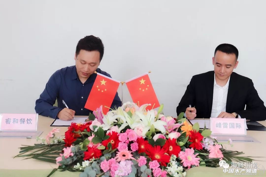 峰雷国际巴沙鱼销售电话,峰雷国际巴沙鱼广州仓库