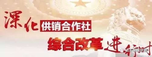 结合自身谈如何服务乡村振兴,结合乡村振兴做好三农服务