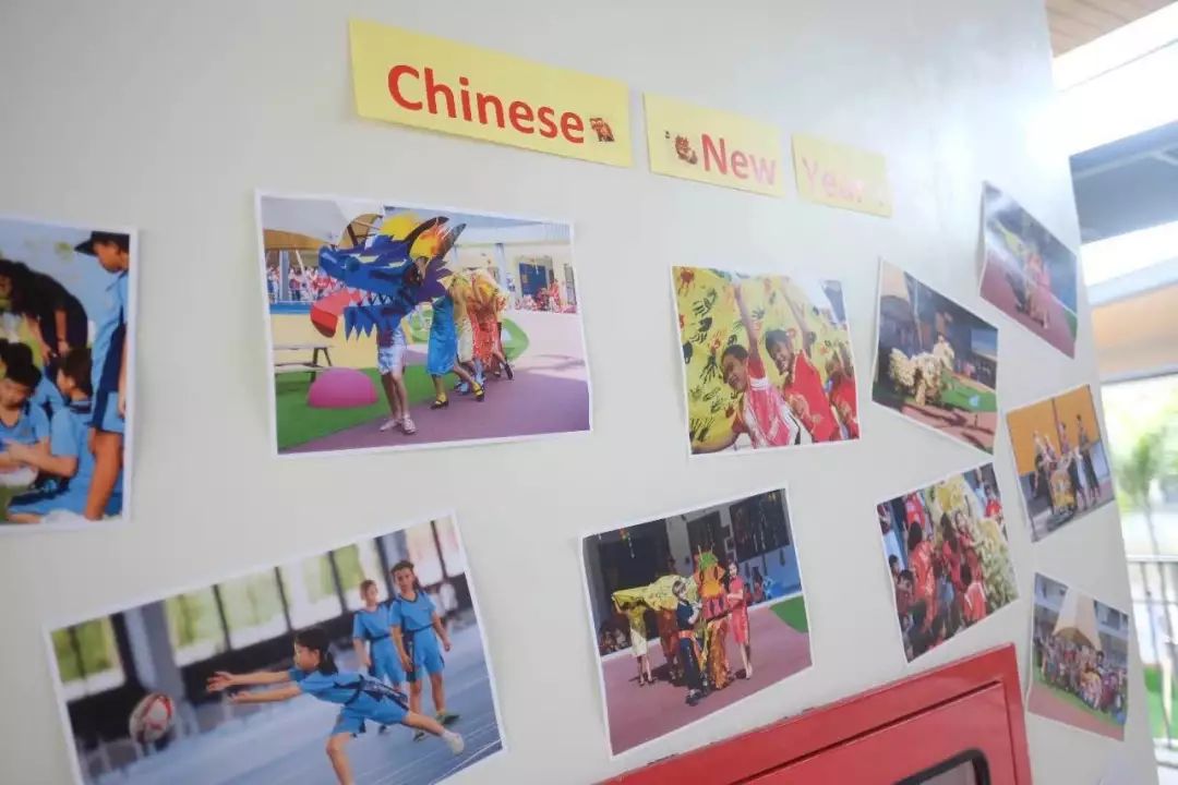 孩子小升初择校的文案,幼升小择校文案