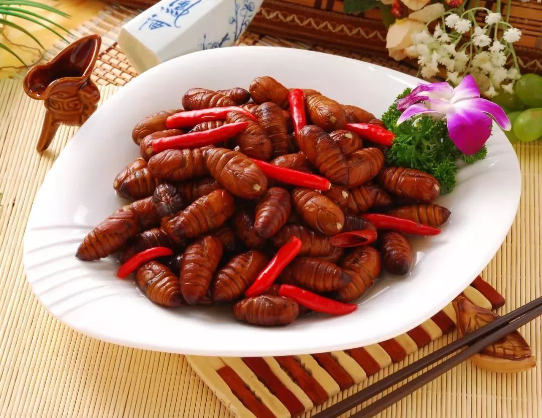 【乐活】春日新宠：百花熬作粥，喜提蔬菜界爱马仕