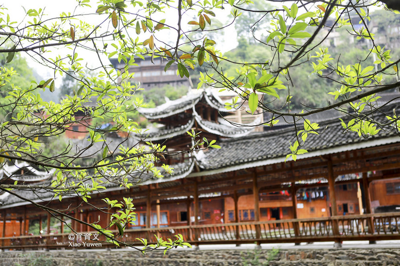 台江县红阳苗寨介绍,台江红阳苗寨旅游攻略