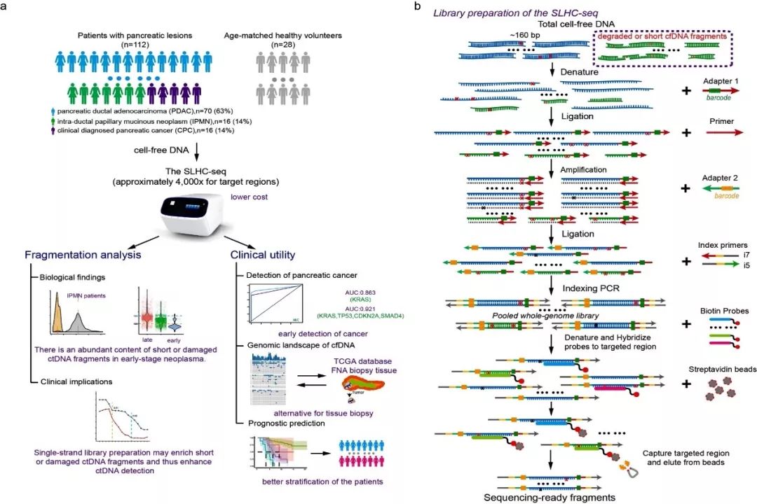 医学上如何最有效的检测胰腺癌,科学诊治胰腺癌