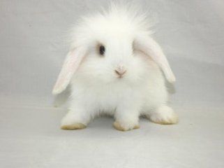 一封来自春天的邀请函,一封来自千里山海的寻味邀请函