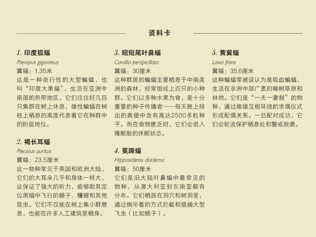 堪称一绝的野生动物画,世界动物画谱