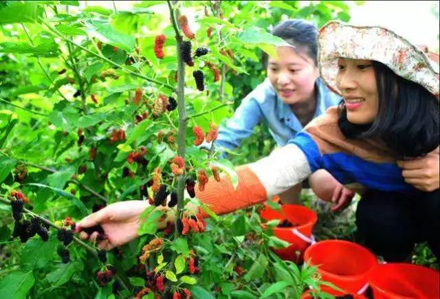 通辽文化旅游季来啦!赏花、踏青、采摘……让你嗨个够!