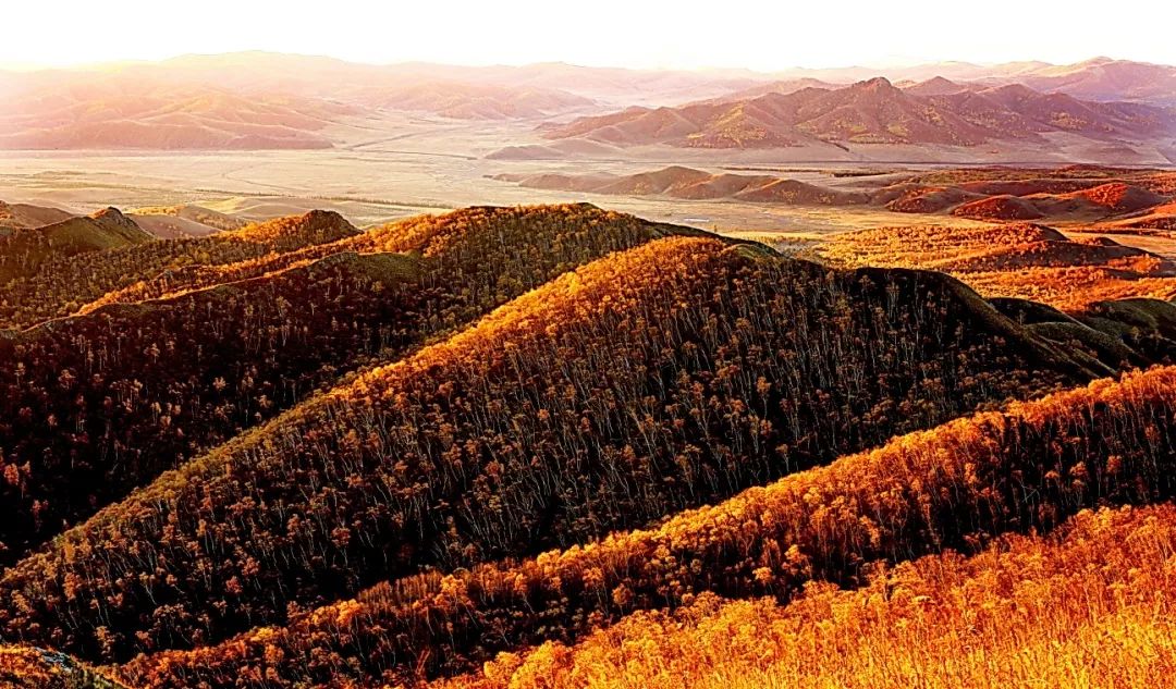 通辽文化旅游季来啦,通辽市哪里适合踏青