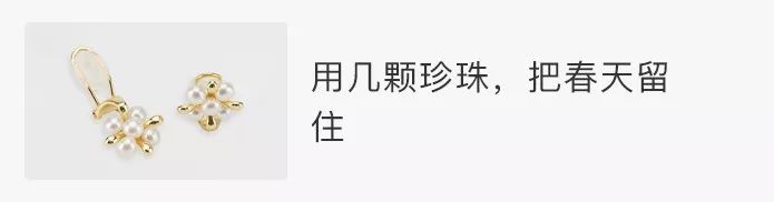 堪称一绝的野生动物画,世界动物画谱