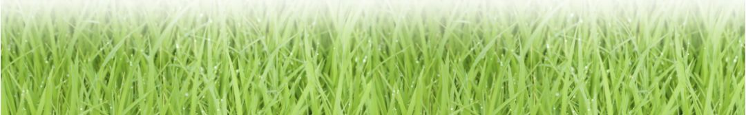 广场舞公园舞大赛,广场舞公园竞赛