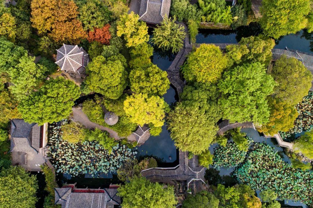 长知识的十本书,一看就错的字100个