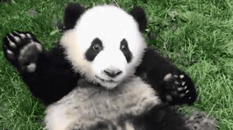 你才可爱你全家都可爱出处,你才可爱你全家都可爱怎么回