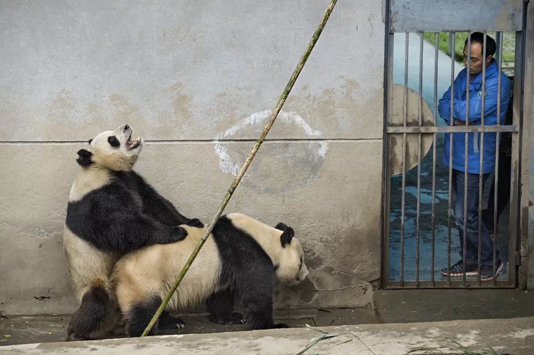 你才可爱你全家都可爱出处,你才可爱你全家都可爱怎么回