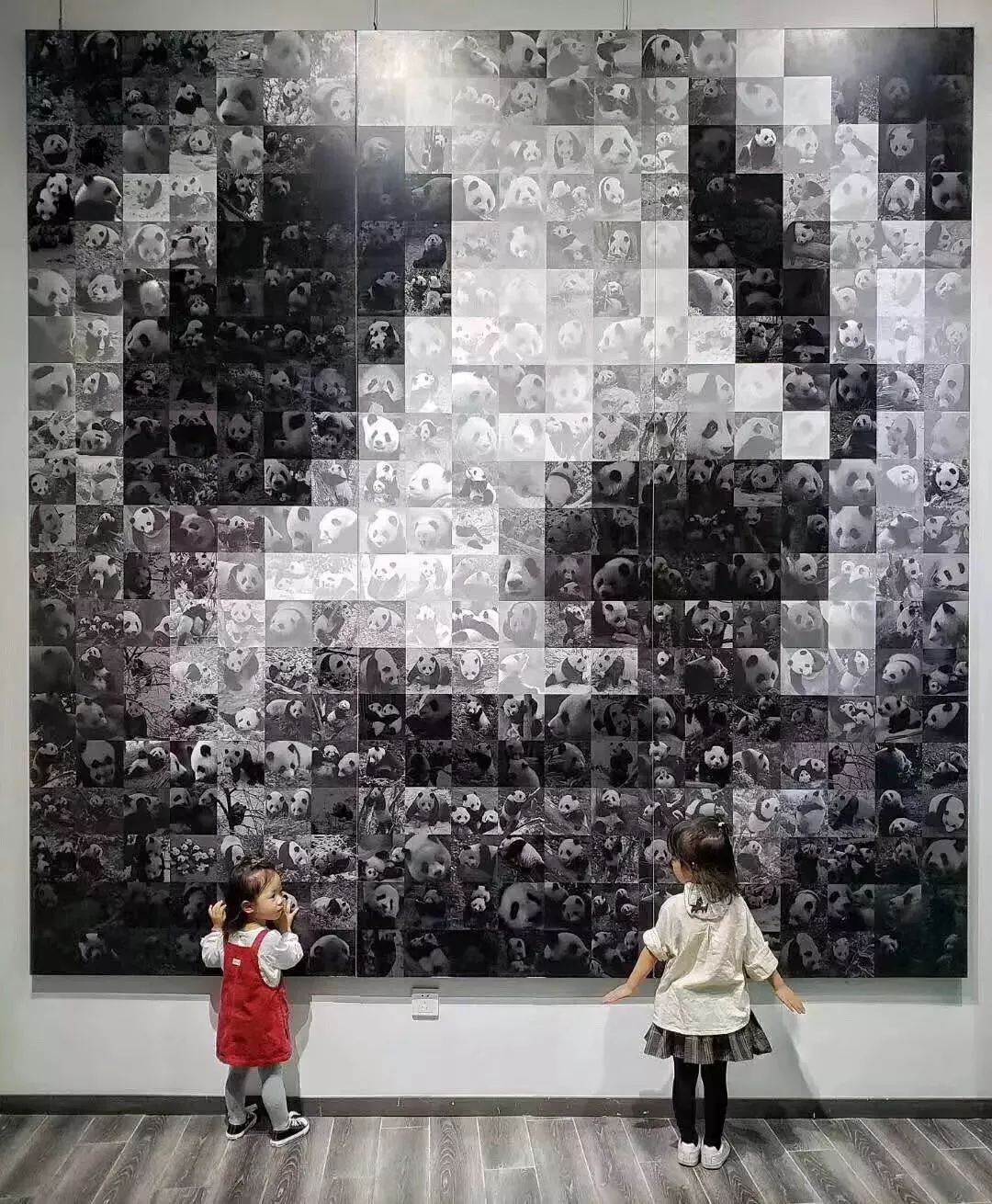 熊猫萌啦,熊猫萌化