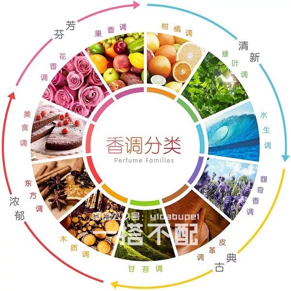 新手不踩坑男士香水,男士香水小白入坑