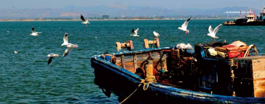 北方人从此不稀罕去海南买海景房了？在北纬41°有了一片海叫东戴河！