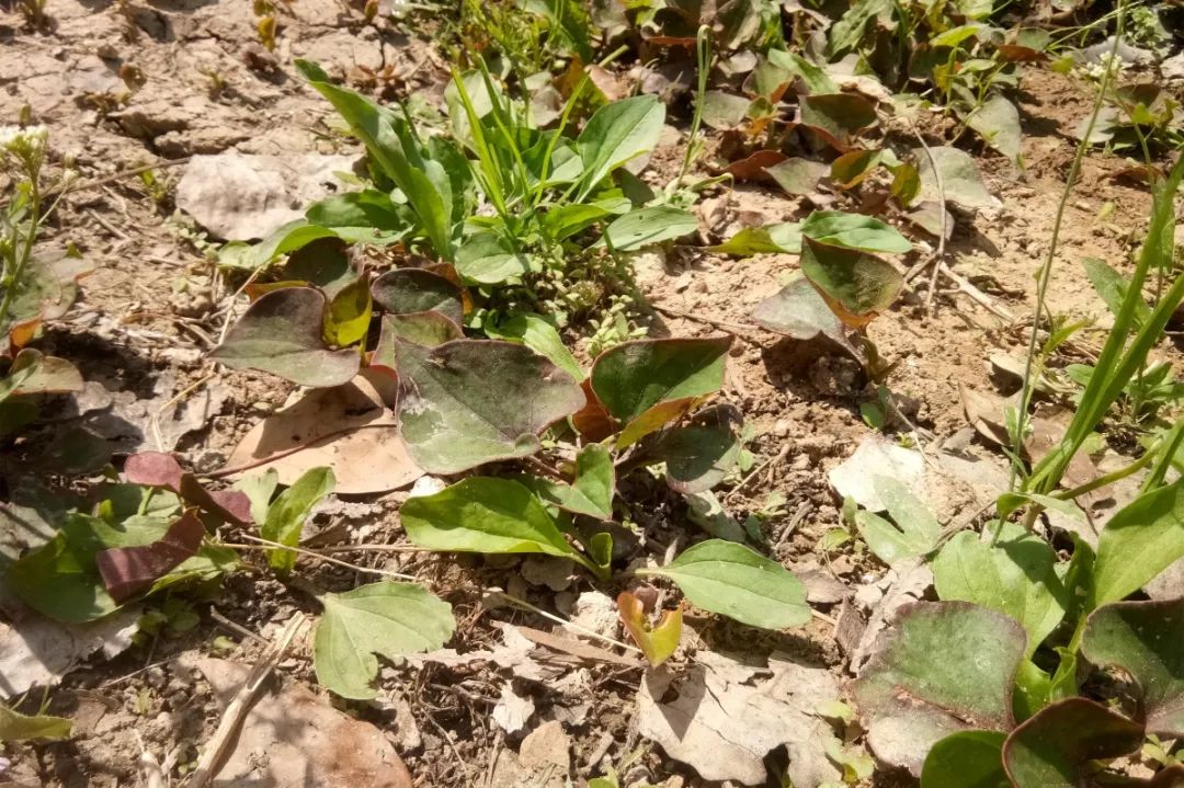 宿迁泗洪繁华的地方,泗洪隐藏美景