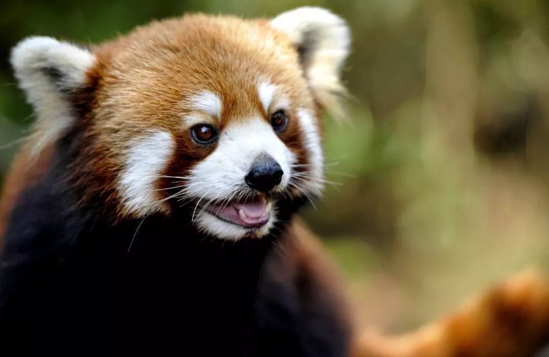 【潮玩】走啊，一起出去“浪里个浪儿~~~”