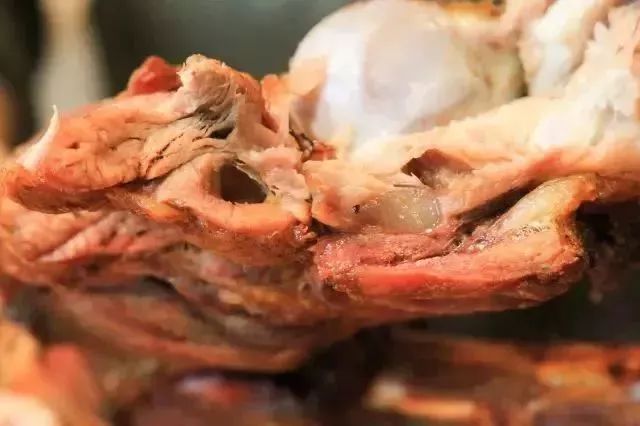 蒙古包味是什么味道,蒙古包的夜晚