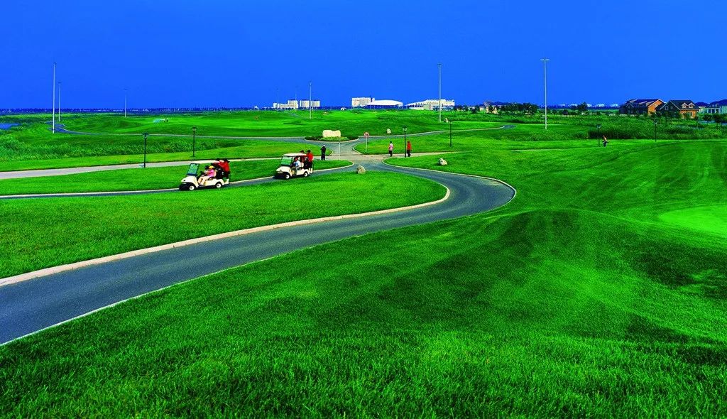 美景美食赏心悦目,美景美食美好心情