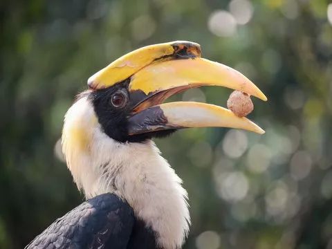 去处｜你真的知道怎么玩转上海野生动物园吗？最全指南在这里！