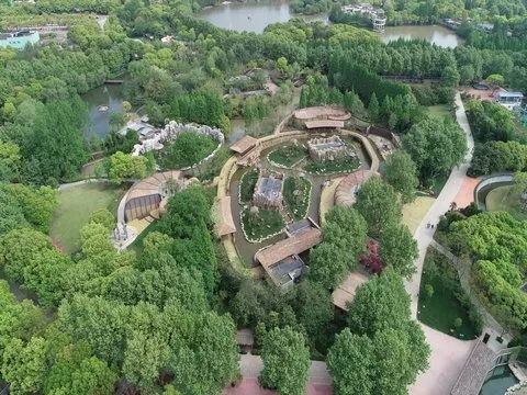 去处｜你真的知道怎么玩转上海野生动物园吗？最全指南在这里！