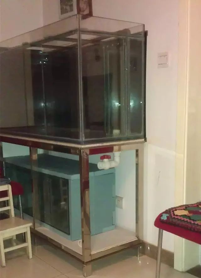 3000块的DIY罗缸，值么？