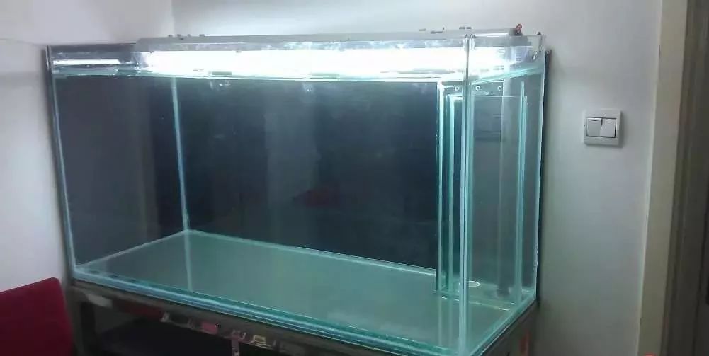 3000块的DIY罗缸，值么？