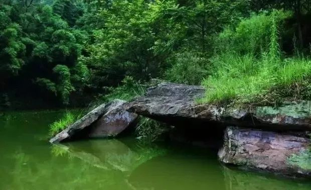 不必远行自有风景,不必远行在家度假