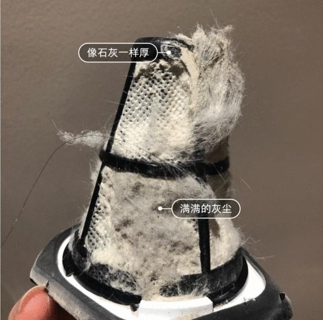 被窝除螨虫最好的办法,教你1分钟清除99%的螨虫